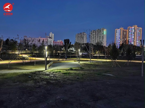新疆哈密市伊州區建設東路哈鐵公園亮化