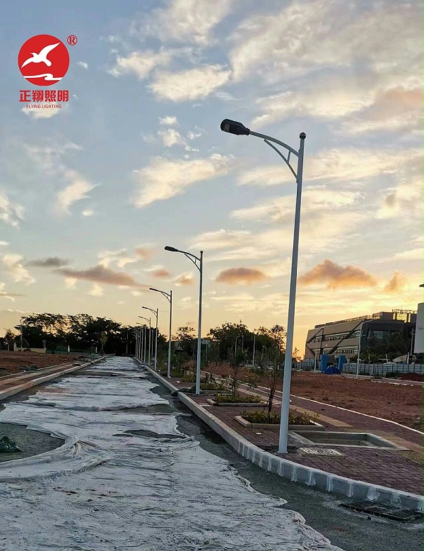 海南三亞工業園區市政路燈