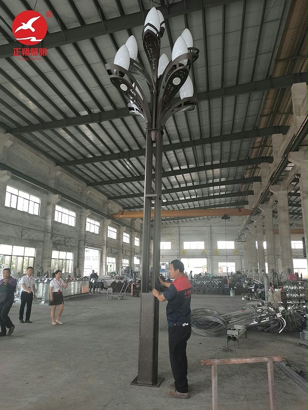 廣東肇慶工業區玉蘭燈安裝