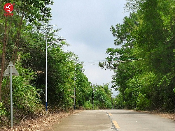 江門恩平太陽能路燈