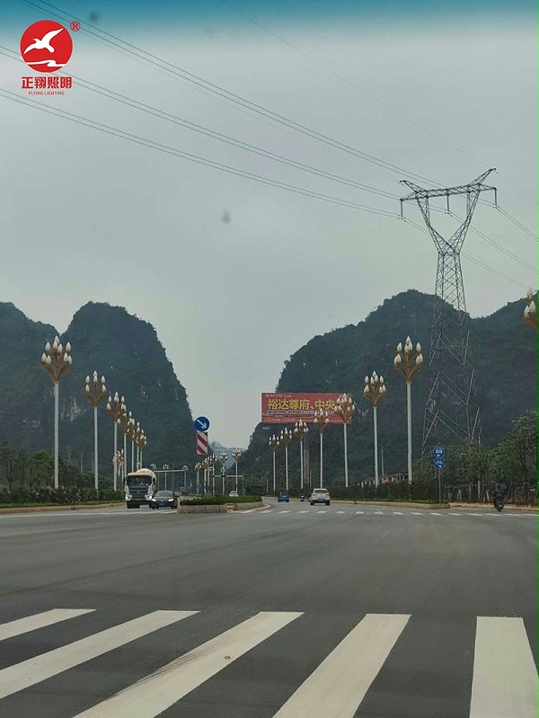 廣西壯族自治區玉蘭燈
