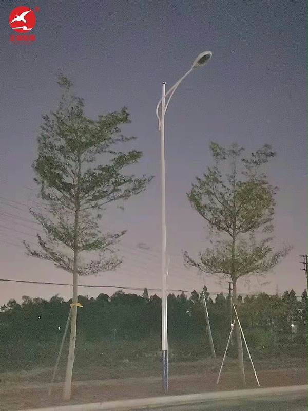 佛山南海中學高低臂市電路燈