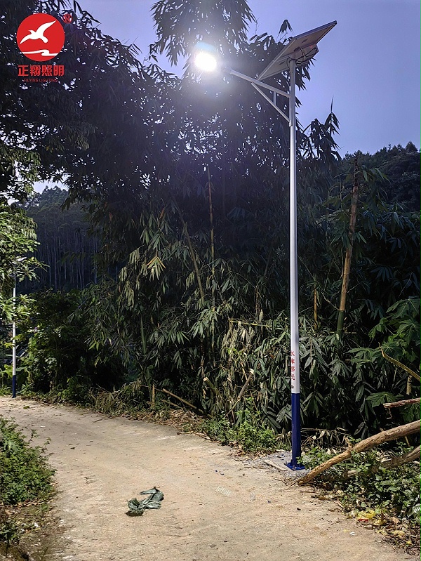 廣西平果市太陽能路燈
