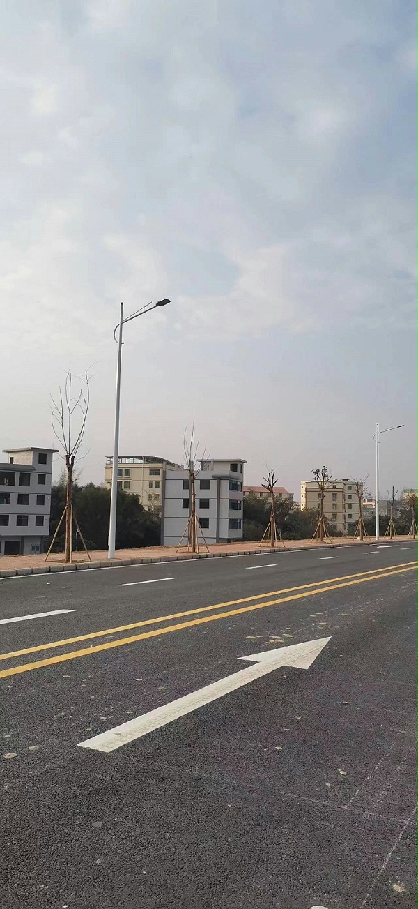 廣東-惠州-惠城區江濱路市電路燈