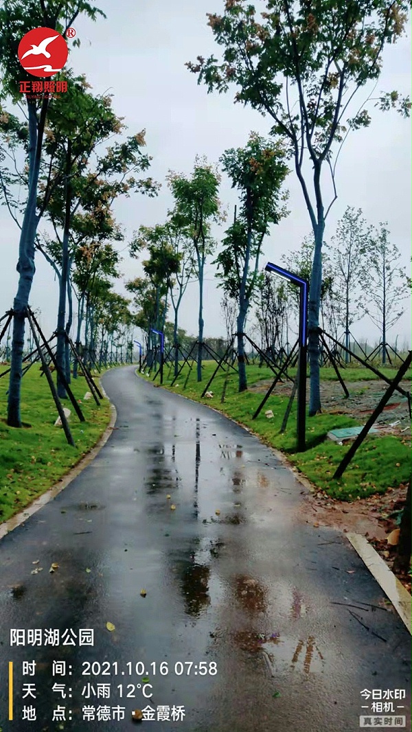 湖南常德陽明湖景區LED景觀燈安裝