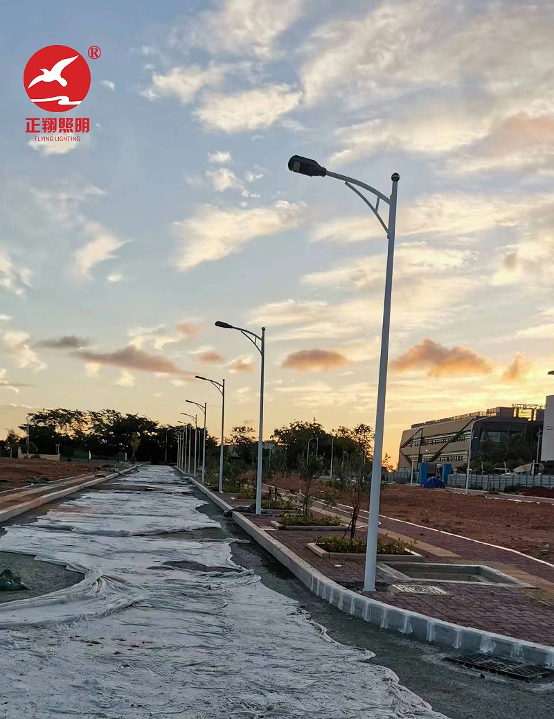 海南三亞工業園區市政路燈