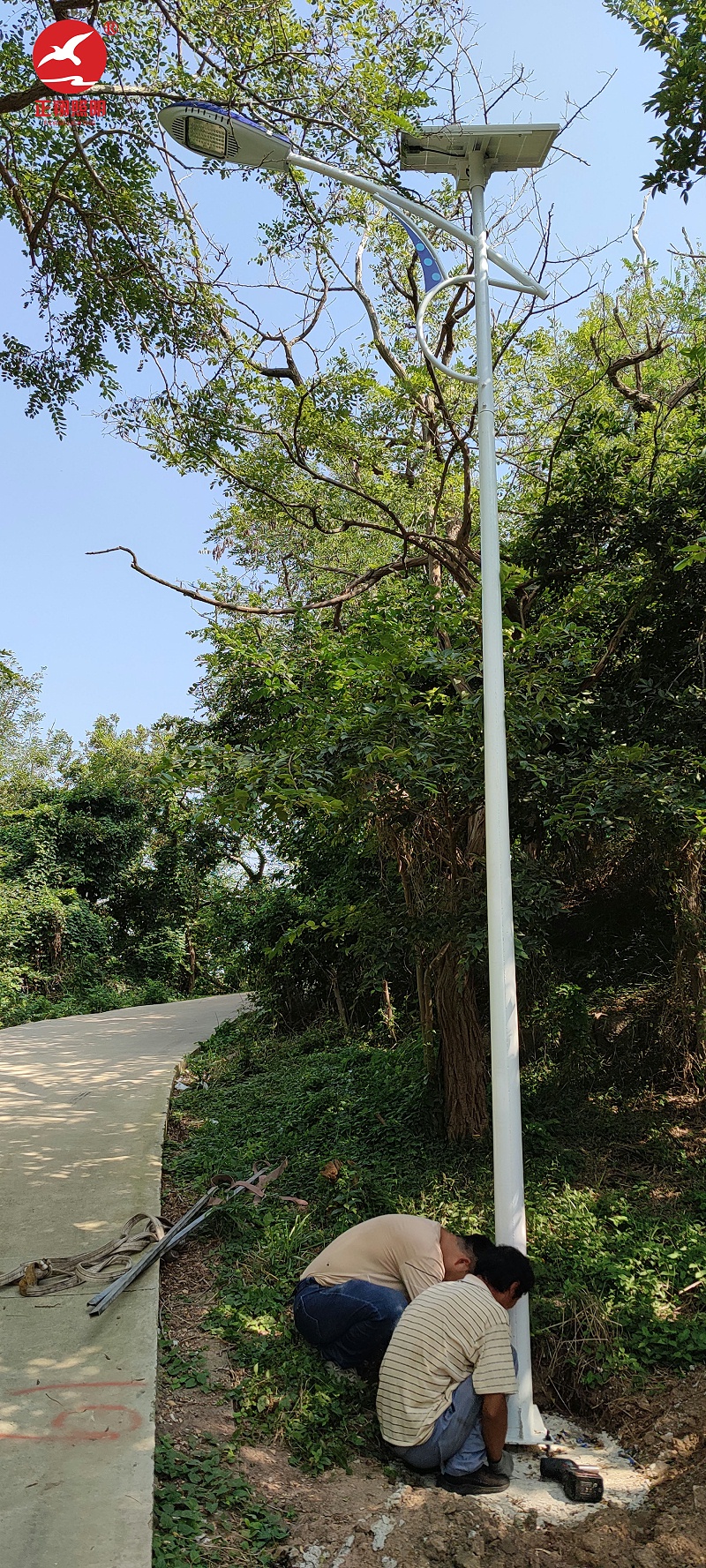 青島八大關旅游景區太陽能路燈
