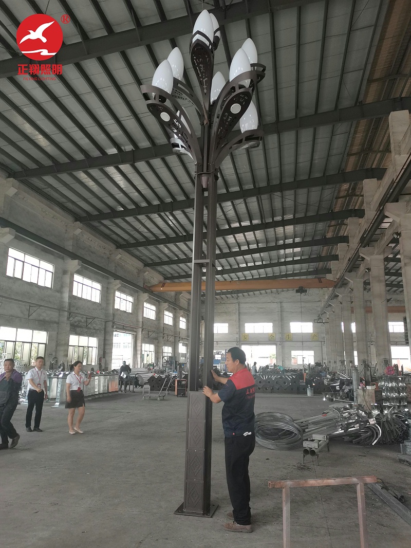 廣東肇慶工業區玉蘭燈安裝