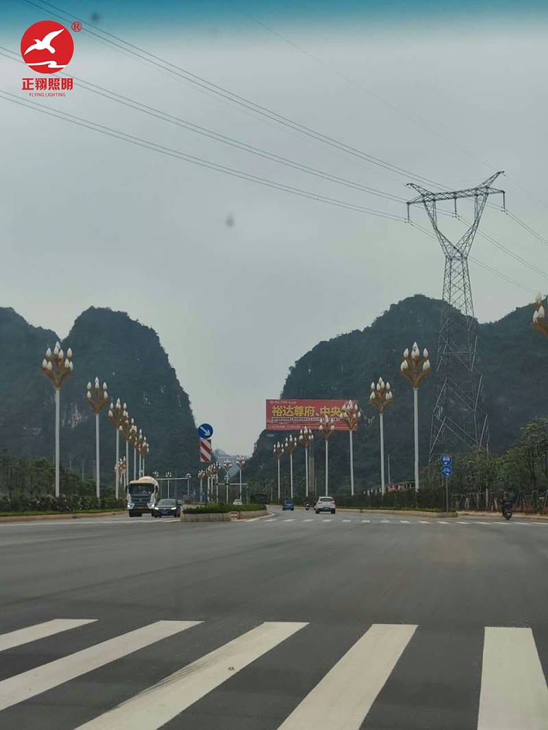 廣西壯族自治區玉蘭燈
