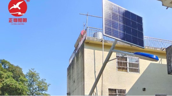 廣西鄉村太陽能路燈安裝工程案例