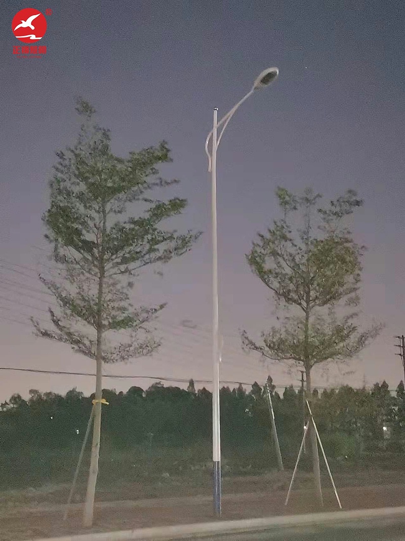 佛山南海中學高低臂市電路燈