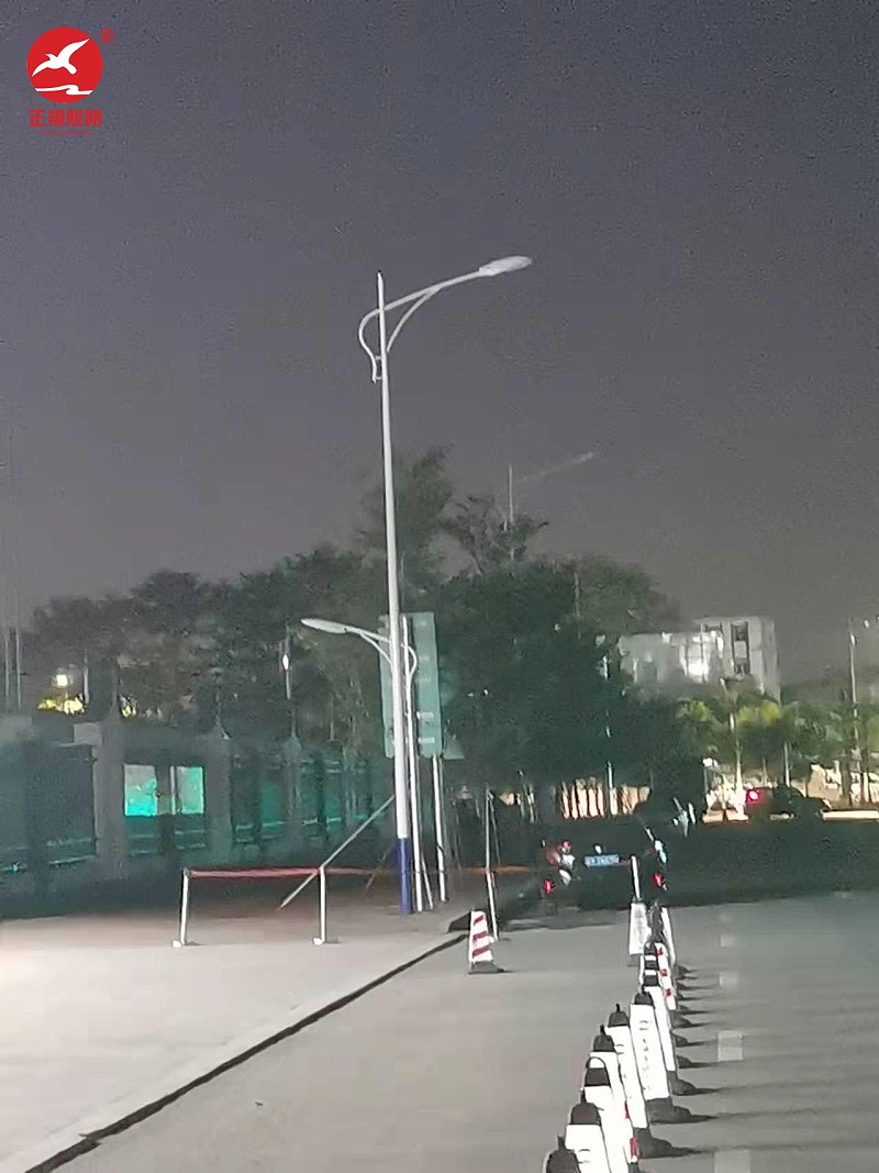 佛山南海中學高低臂市電路燈