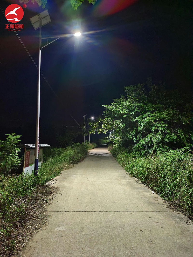廣西桂平鄉村太陽能路燈