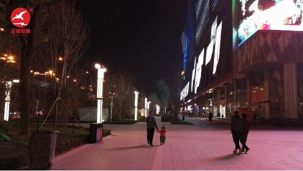 北京冬奧會景觀燈安裝
