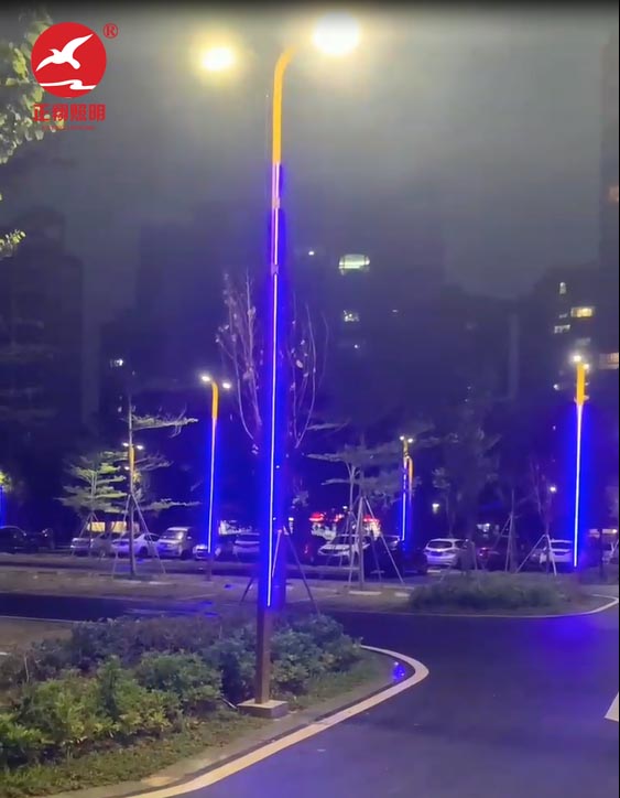 江門蓬江區濱海大道LED景觀燈安裝