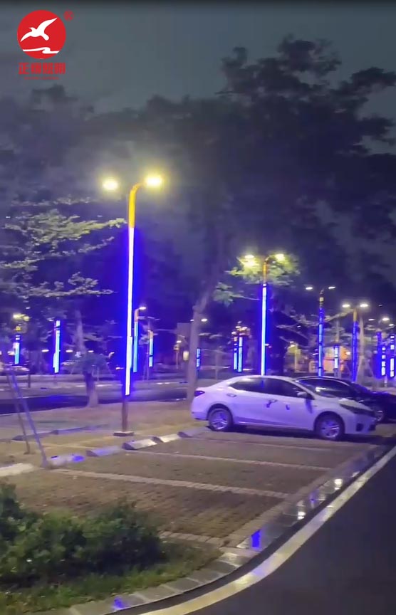 江門蓬江區濱海大道LED景觀燈安裝