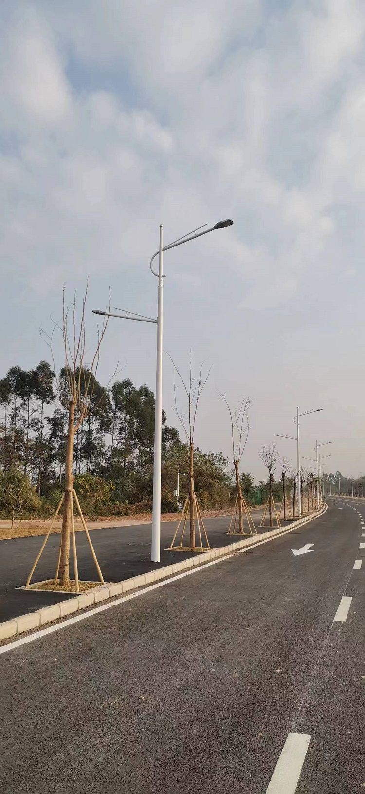 廣東-惠州-惠城區江濱路市電路燈