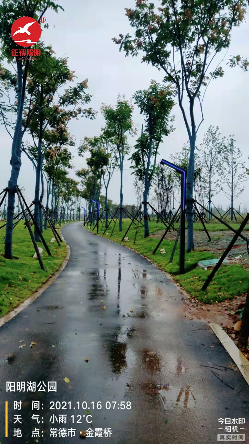 湖南常德陽明湖景區LED景觀燈安裝