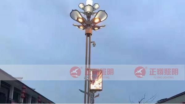 四川宜賓小區景觀智慧路燈安裝